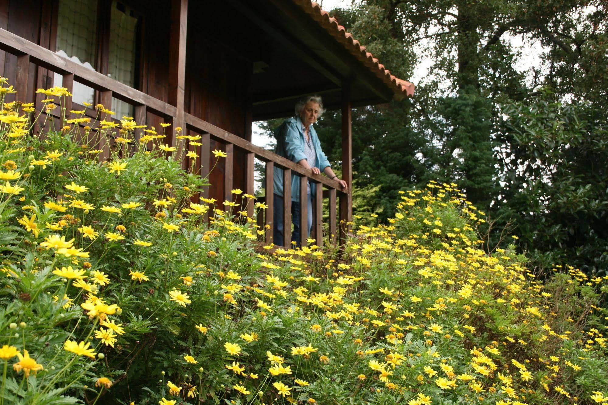 Quinta Das Eiras Hotel Santo Antonio da Serra Eksteriør billede