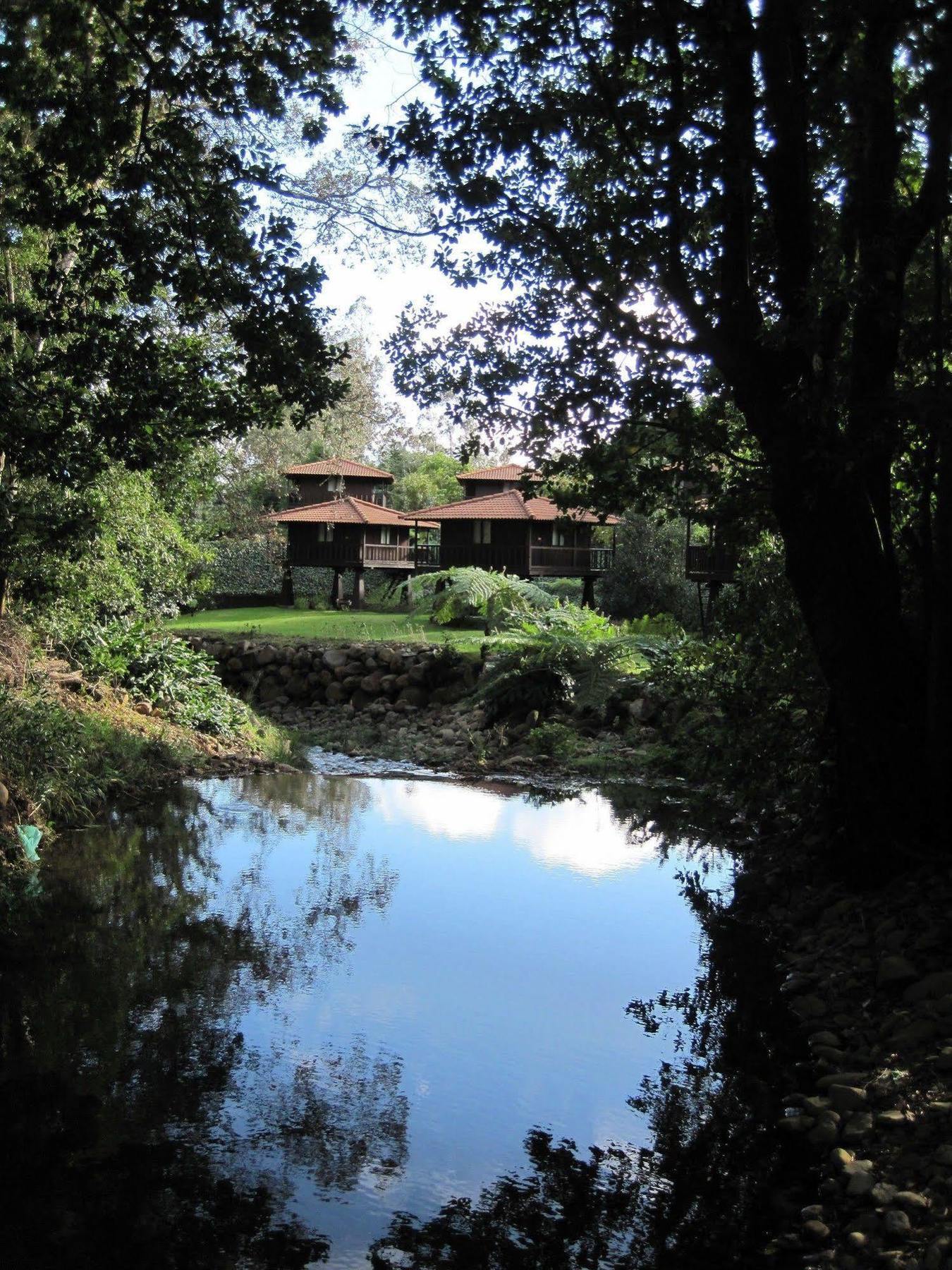 Quinta Das Eiras Hotel Santo Antonio da Serra Eksteriør billede